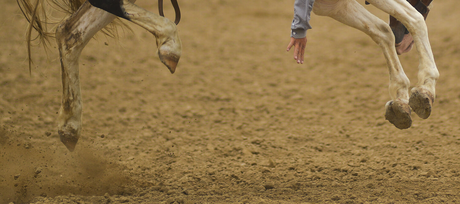 A rider stretches his fingers down as his horse bucks